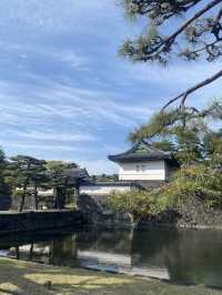Spring Blossoms at the Imperial Palace🌼