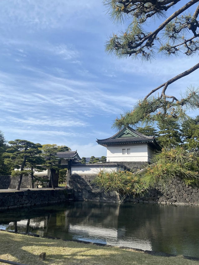 Spring Blossoms at the Imperial Palace🌼