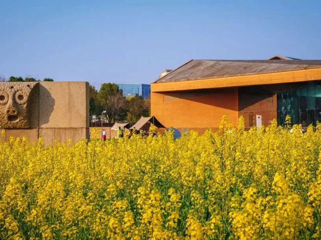 Discoger Majiabang Rapeseed Flowers