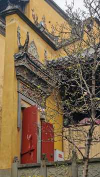 Journey Through Huguang Huiguan Guild Complex