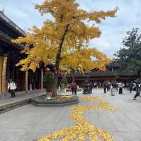 龍華寺