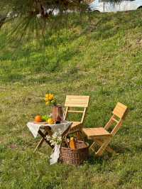 지금 당장 가야 할 청주 벚꽃 축제