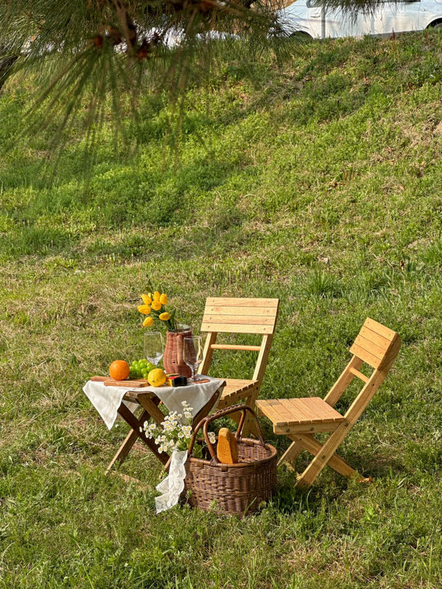 지금 당장 가야 할 청주 벚꽃 축제 지금 당장 가야 할 청주 벚꽃 축제