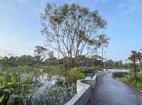 Wandering Through Stillness: A Solo Day at the Chinese and Japanese Gardens in Singapore