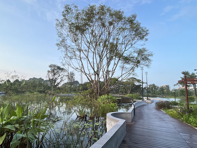 Wandering Through Stillness: A Solo Day at the Chinese and Japanese Gardens in Singapore
