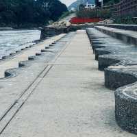 萬里杜鵑花季｜免費賞花好去處，春日漫遊半日遊推薦！