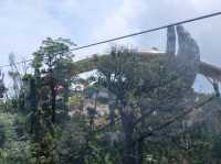GOLDEN BRIDGE : สะพานมือยักษ์ บานาฮิลล์