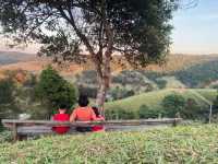 ดูกระทิง ลานกางเต็นท์จุดสกัดเขาสูง เขาแผงม้า