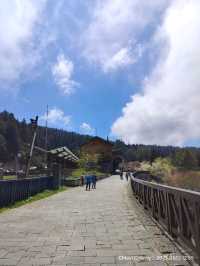 ไปดูดอกแมกโนเลียที่ Alishan 