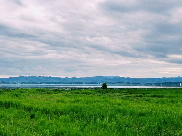 中國貴州省威寧縣著名景點草海自然保護區旅行攻略，適合打卡拍照📸