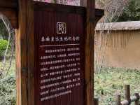 Walking in the Footsteps of Legends: Exploring Emperor Qin Shi Huang's Roots in Congtai Park, Handan