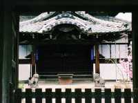 仁徳陵のそばに佇む静寂のお寺⛩️✨