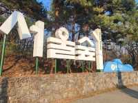 Immerse in Romantic Cherry Blossoms & More in Seoul Forest