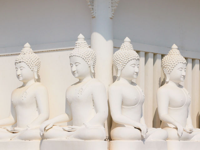 วัดพระวรราชาทินัดดามาตุ 