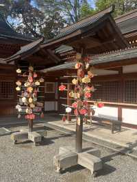 日本四國
