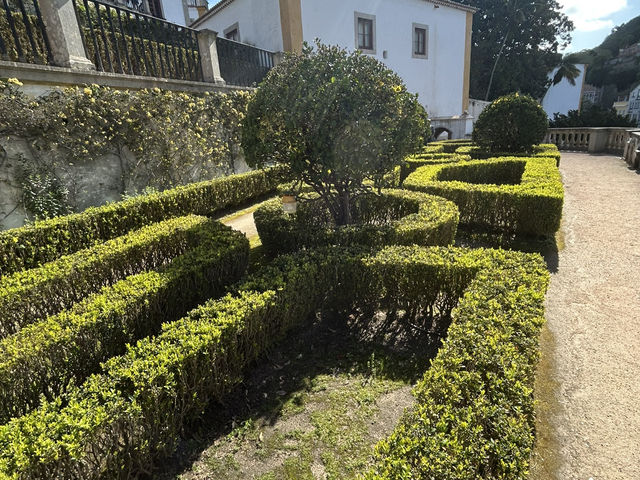Gardens with a view 