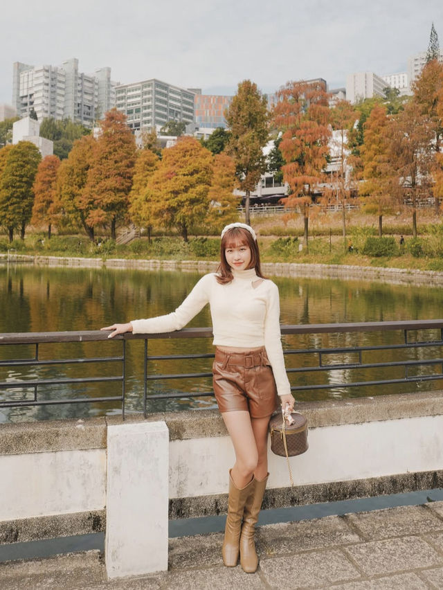 香港🇭🇰中文大學落羽松秘境🍂