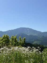 【岐阜】恵那山れ、馬籠宿が一望できるスポット