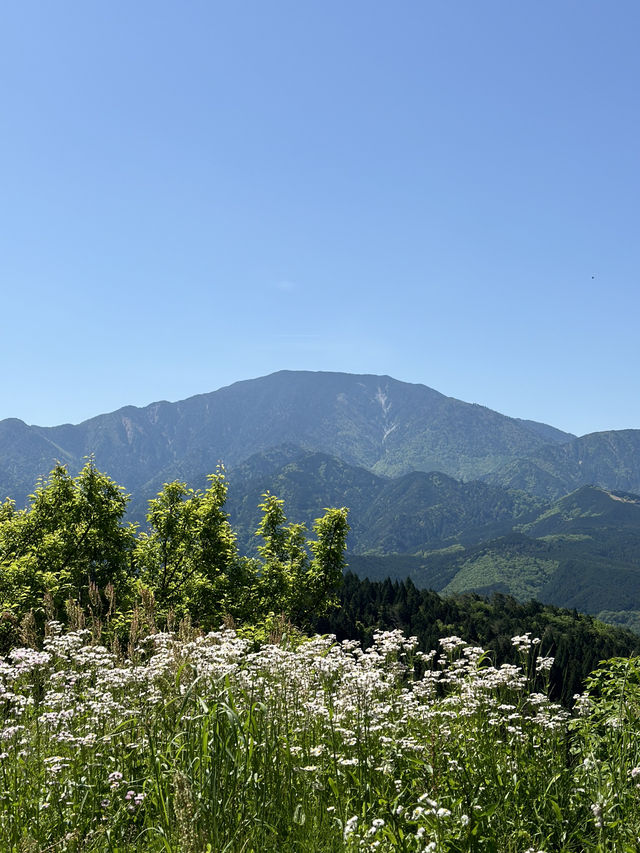 【岐阜】恵那山れ、馬籠宿が一望できるスポット
