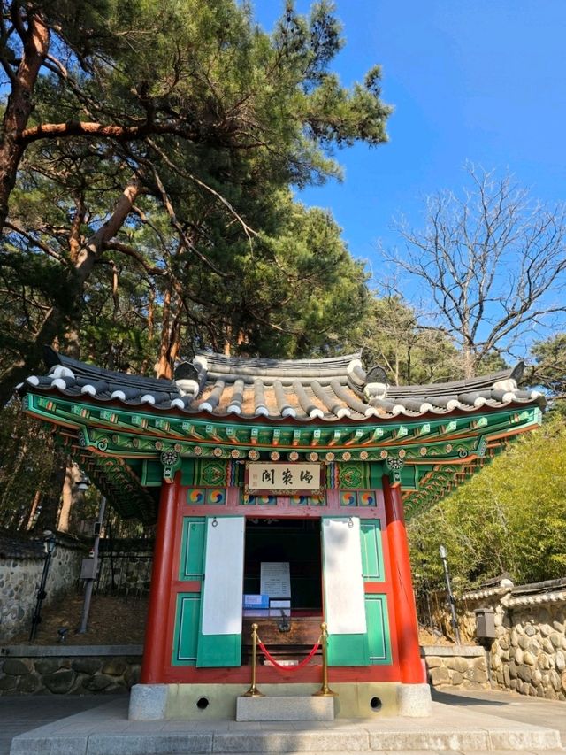 🌲🍂강원도 강릉 여행지 명소 강릉 오죽헌 