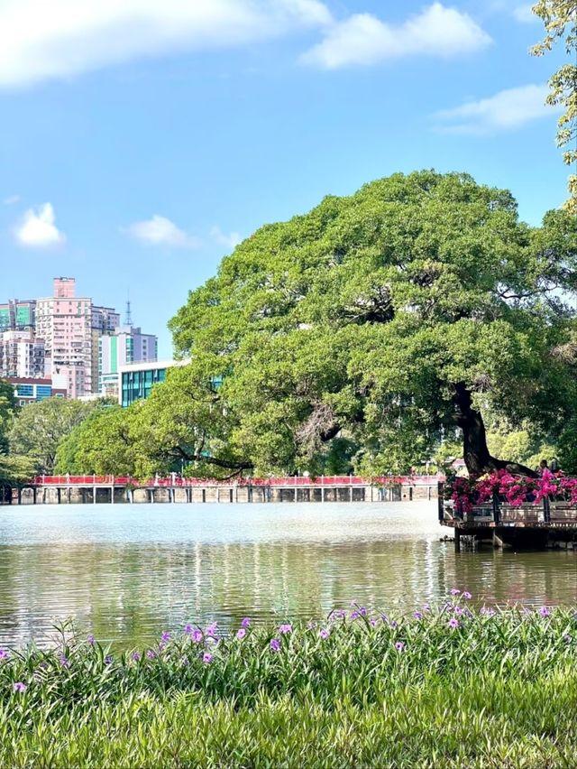 Dongshan Lake Park – A Tranquil Urban Oasis in Guangzhou
