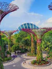Gardens by the Bay