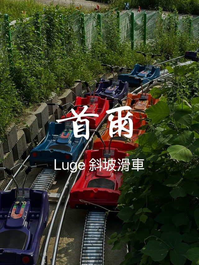 首爾Luge斜坡滑車