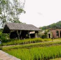  โอบบ์ Farm ระยอง