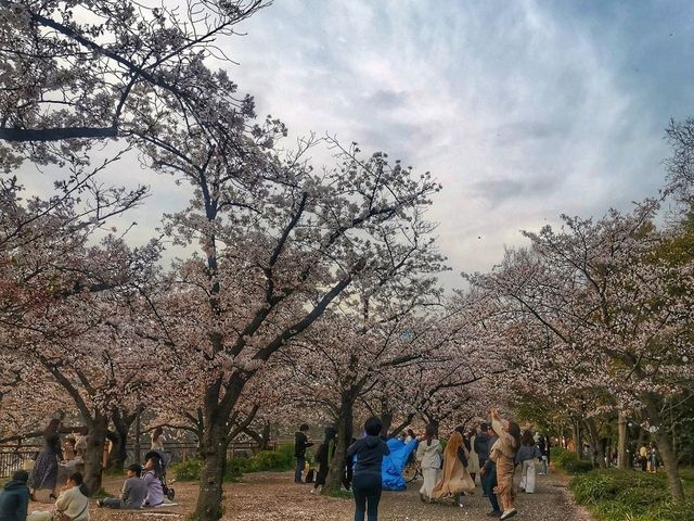 Where Osaka’s Warrior Spirit and Spring’s Softness Collide—A Must For First-time Visitors.