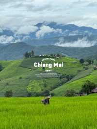 ที่พักบ้านป่าบงเปียง จ.เชียงใหม่ 🏡⛰️🌦️🌾