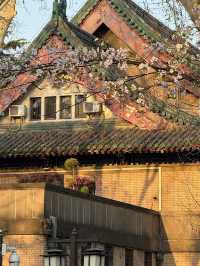 “Petals and Prayers: The Sacred Bloom of Jiming Temple”