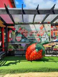 “Sweet Escapes: A Day at Mesilau Strawberry Farm”