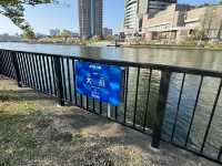 2025大阪毛馬櫻之宮公園沿河浪漫櫻花步道