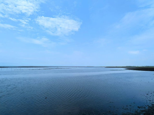 高美濕地