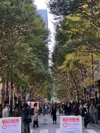 🌿 Marunouchi Street Park – 도심 속 여유, 도쿄에서 가장 세련된 쉼표