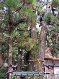 【三輪明神 大神神社:奈良県桜井市】