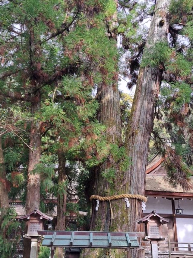 【三輪明神 大神神社:奈良県桜井市】