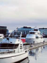 Day 6: City Strolls & Whale Tales in Reykjavík