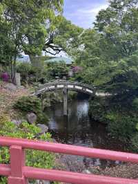 【花に囲まれて学問祈願】防府天満宮　山口