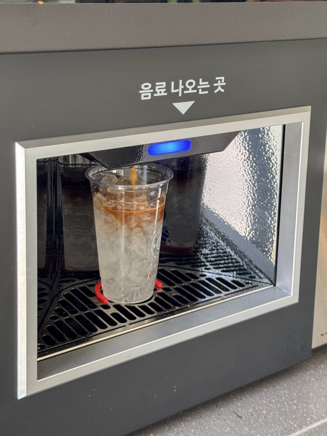 지도에도 안 나오는 1,000원 뷰맛집 카페