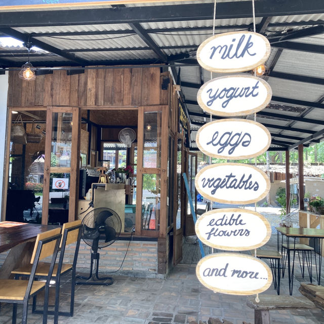 Smiling Cow Cafe