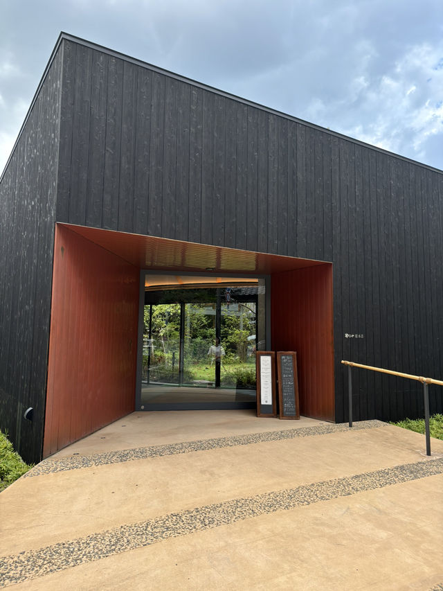 【福岡旅行】明太子好き集まれー！福岡明太子旅！