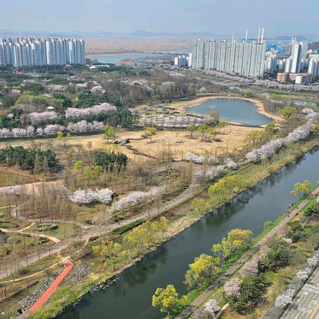 Ansan Lake Park (Ansan)