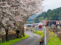 “Whispers of Spring: Sakura Serenity in Yufuin” 