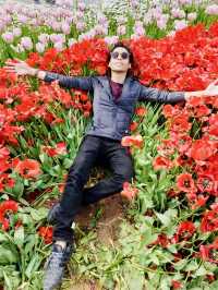 Magical Spring Journey Through Istanbul's Tulip Parks