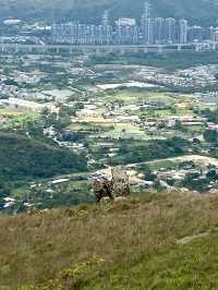 雞公嶺-視野廣闊，全方位無障礙的山脊，眺望南生圍及深圳