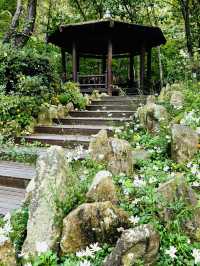 A Quirky Escape to Sangso-dong Forest Bathing Area