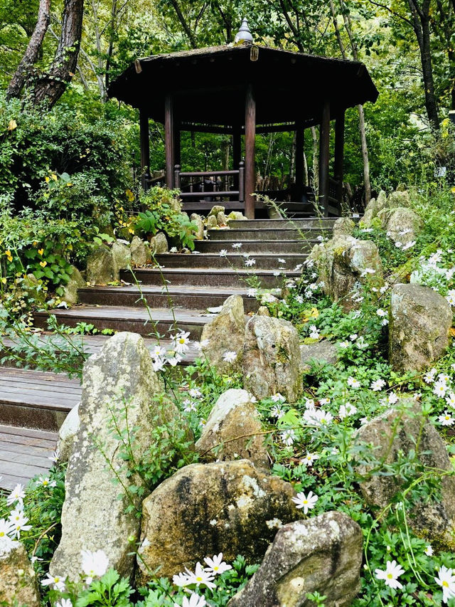 A Quirky Escape to Sangso-dong Forest Bathing Area
