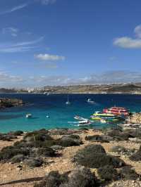 🇲🇹지중해의 숨은 보석 ‘몰타’를 아시나요?🏝️🐚🐙🐟🐳 
