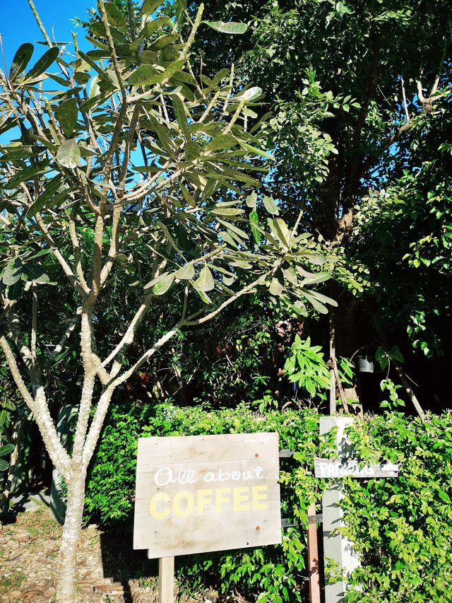 คาเฟ่บรรยากาศร่มรื่น Allaboutcoffee Pai-เชียงใหม่